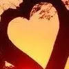love tree.