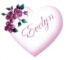 Evelyn