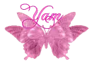 Yam