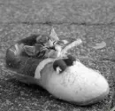 cat sleep