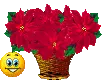 love flower
