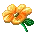 kwiaty flower