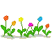 kwiaty flower