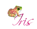 Iris