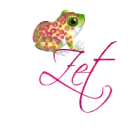 Zet