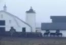 Fog at the farm