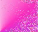Butterflys Heart