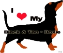 black and tan daschund love