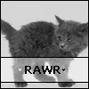 RAWR