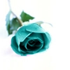 Blue Rose