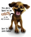 crazy dog