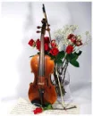 Violin with rose