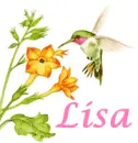 Lisa Hummingbird
