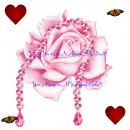 Love Always
