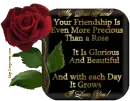 Friendship