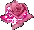 cute flowers
