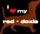 red daschund love