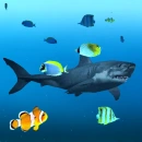fishes and shark bg