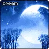Dream