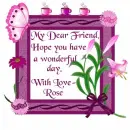 Rose