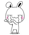 Bunny Cute