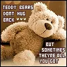 Teddy Bear