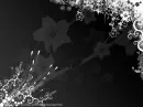 Black White Theme Wallpaper