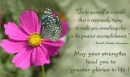 Flower & Butterfly Poem
