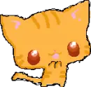 cute orange kitty