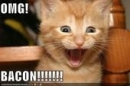 OMG BACON!!