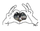 hands