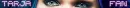 tarja banner gif