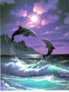dolphins