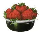strawberry tube