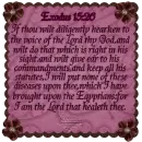 Exodus~scripture