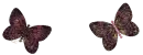 Butterflys