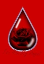 for You