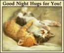 Two cute kittens