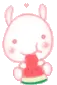 YUMMY WATERMELON