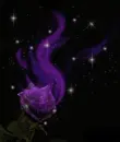 Purple Rose
