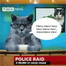 cat news!