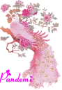 Pandemic's pink peacock