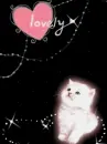 Lovely Cat