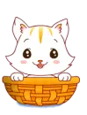 Kitty
