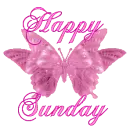 Happy Sunday