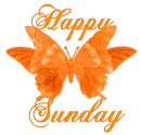 Happy Sunday