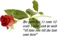 11 roses