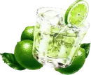 lime drink tube