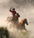 cowboy ropping 