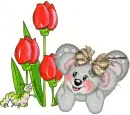 creddy